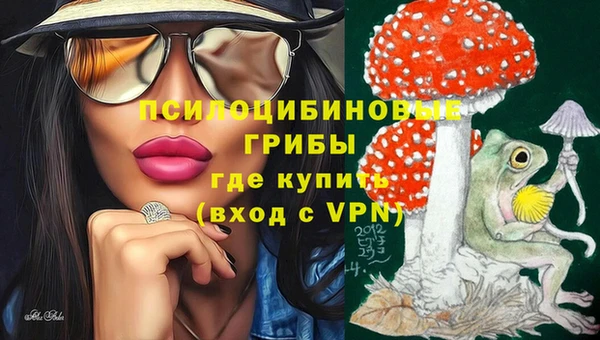 гидропоника Белоозёрский