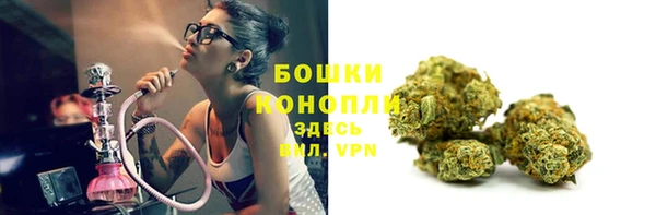 гидропоника Белоозёрский