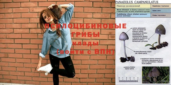 герыч Белокуриха