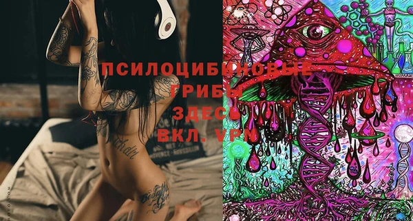 гидропоника Белоозёрский